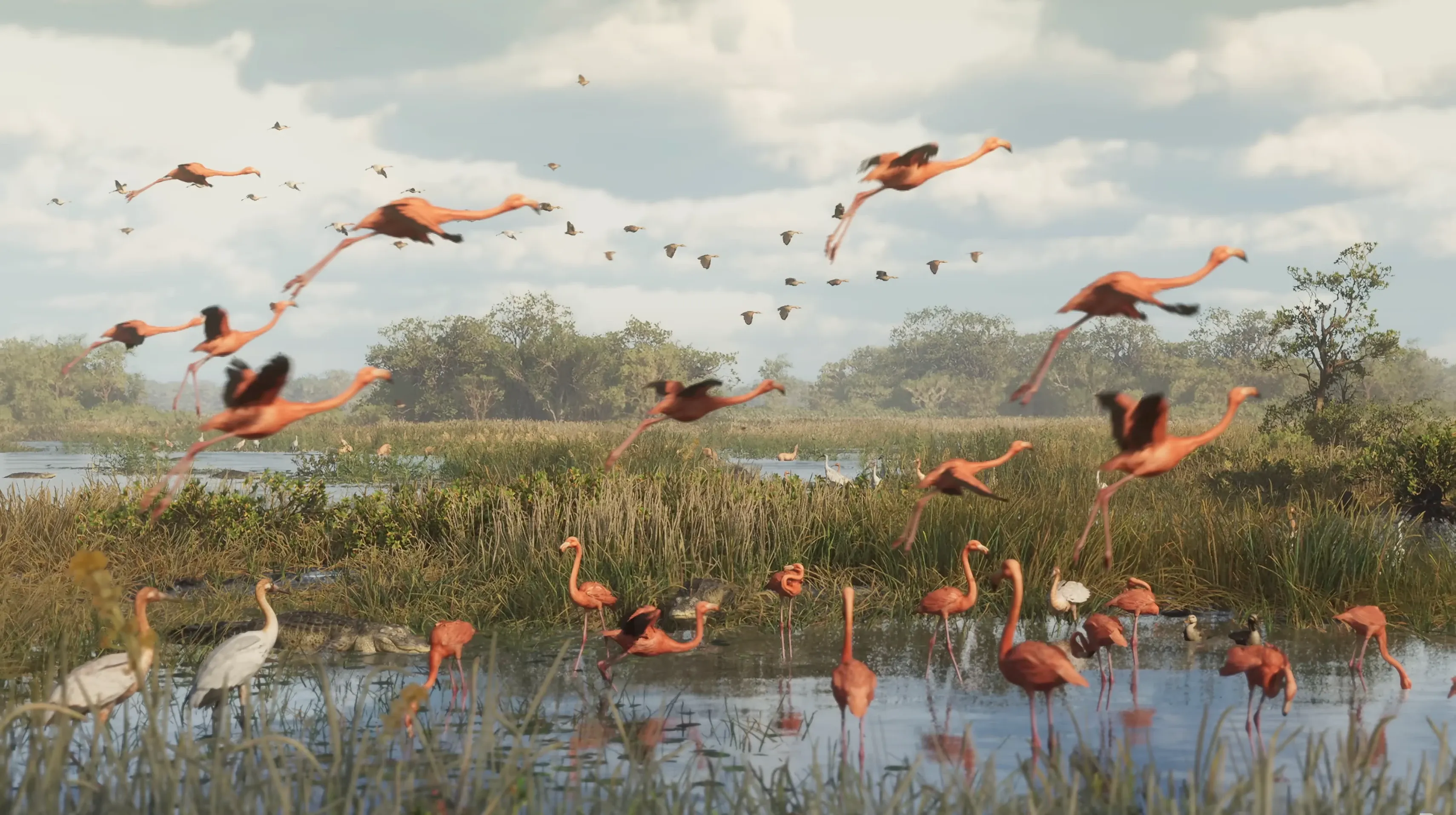 A flock of flamingos in the Grassrivers - Trailer 1 Shot