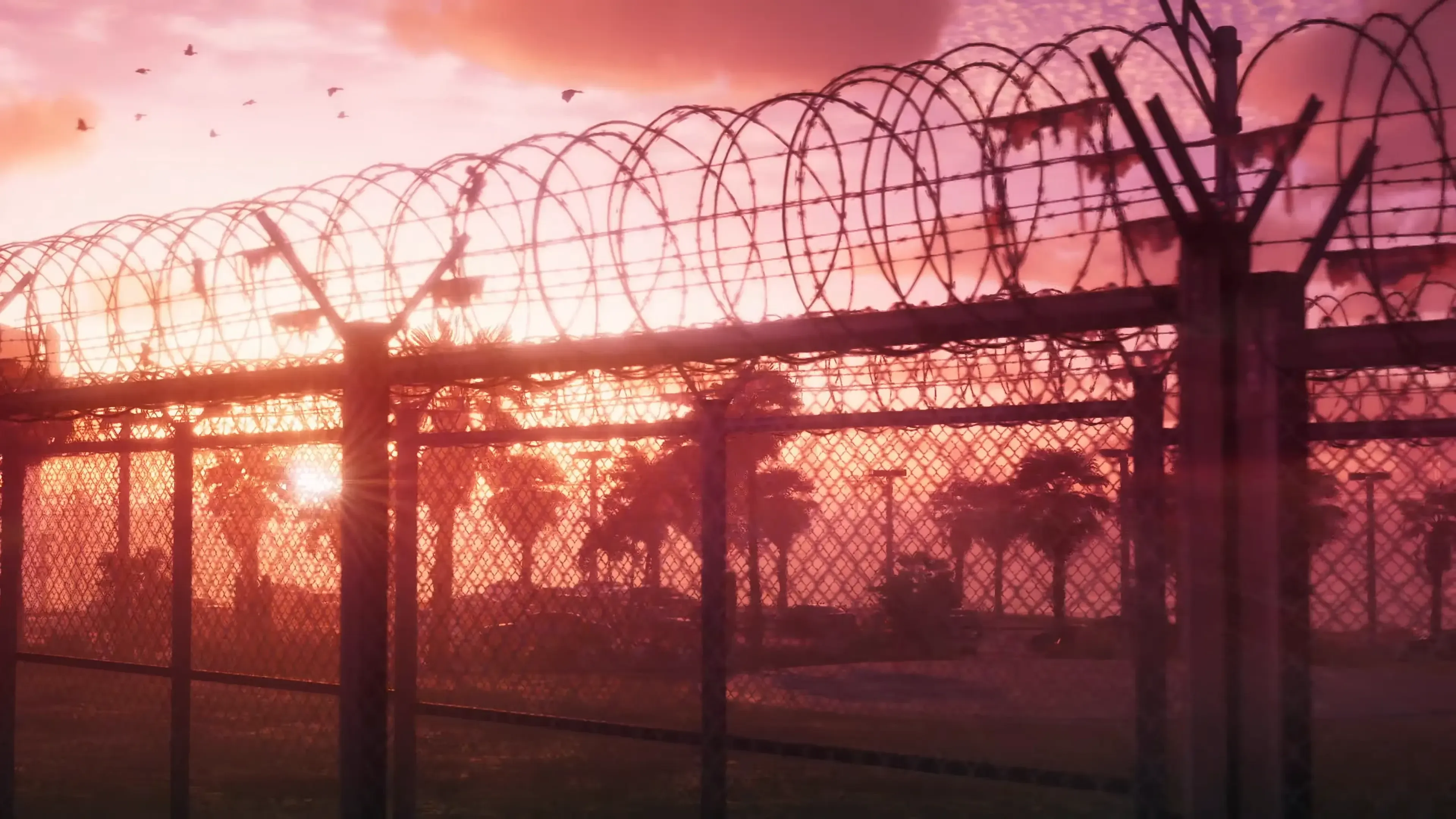 Barbed wire surrounding the prison complex - Trailer 1 Shot