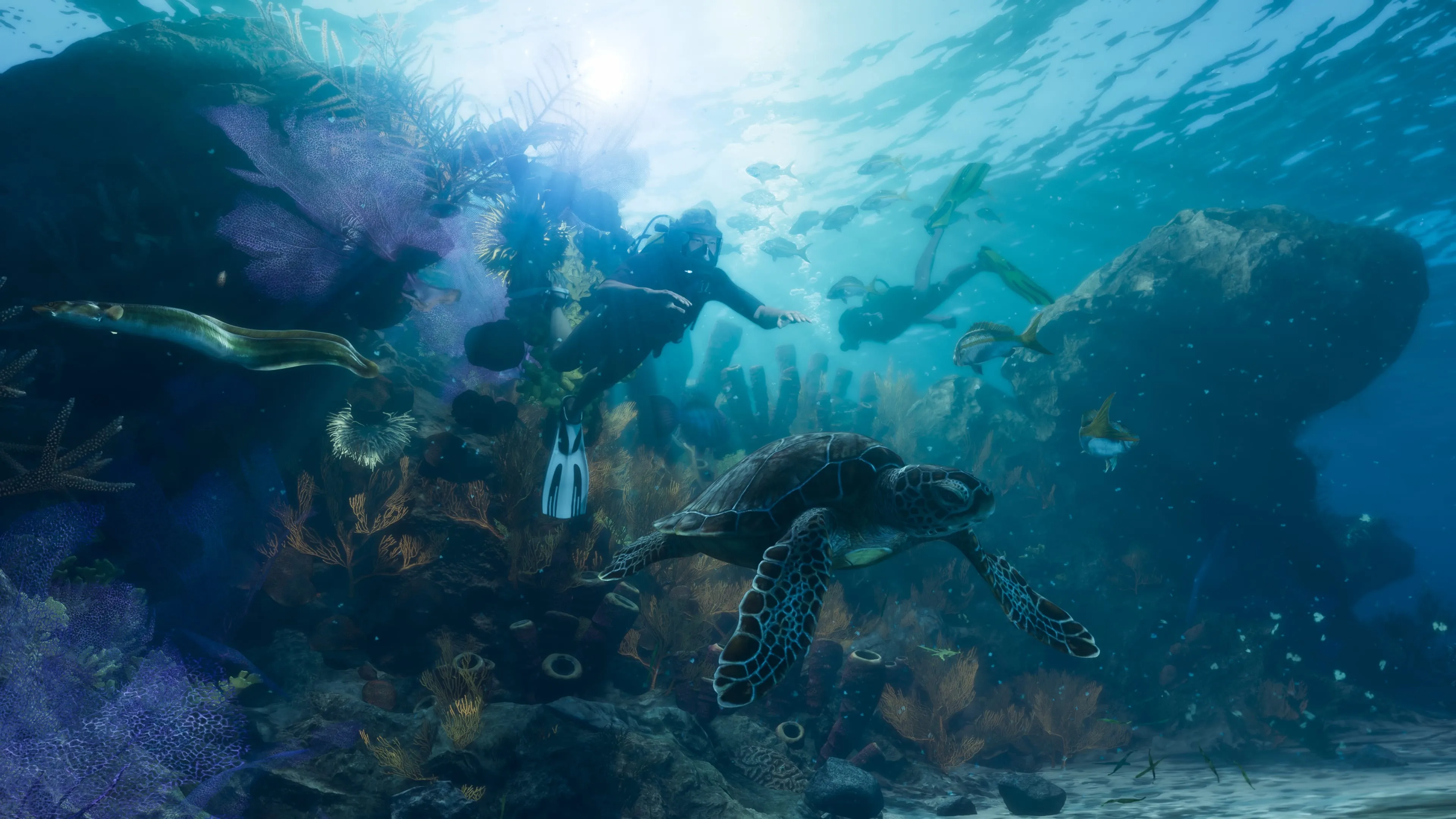 Underwater world of Leonida Keys