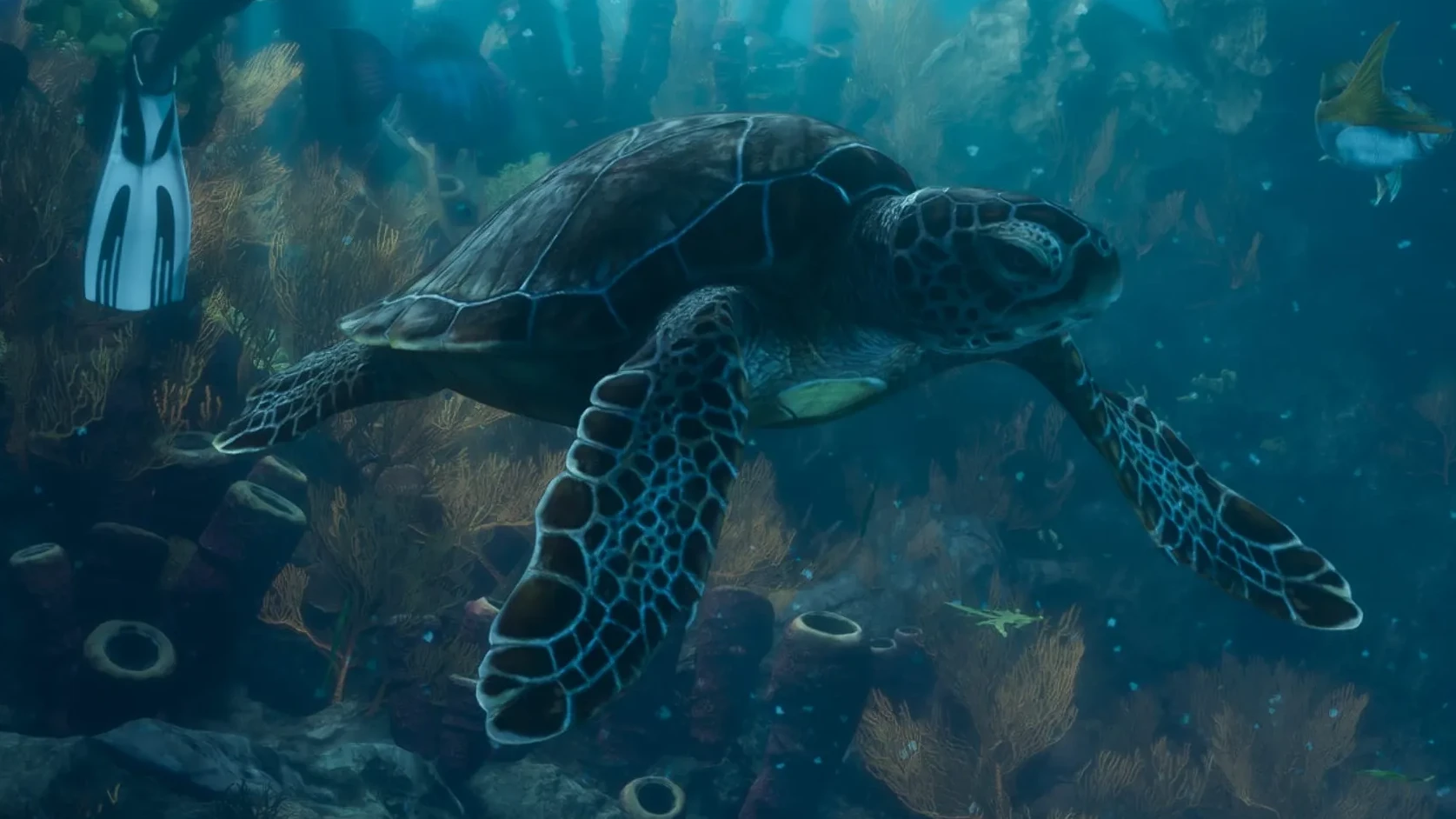 Underwater world of Leonida Keys