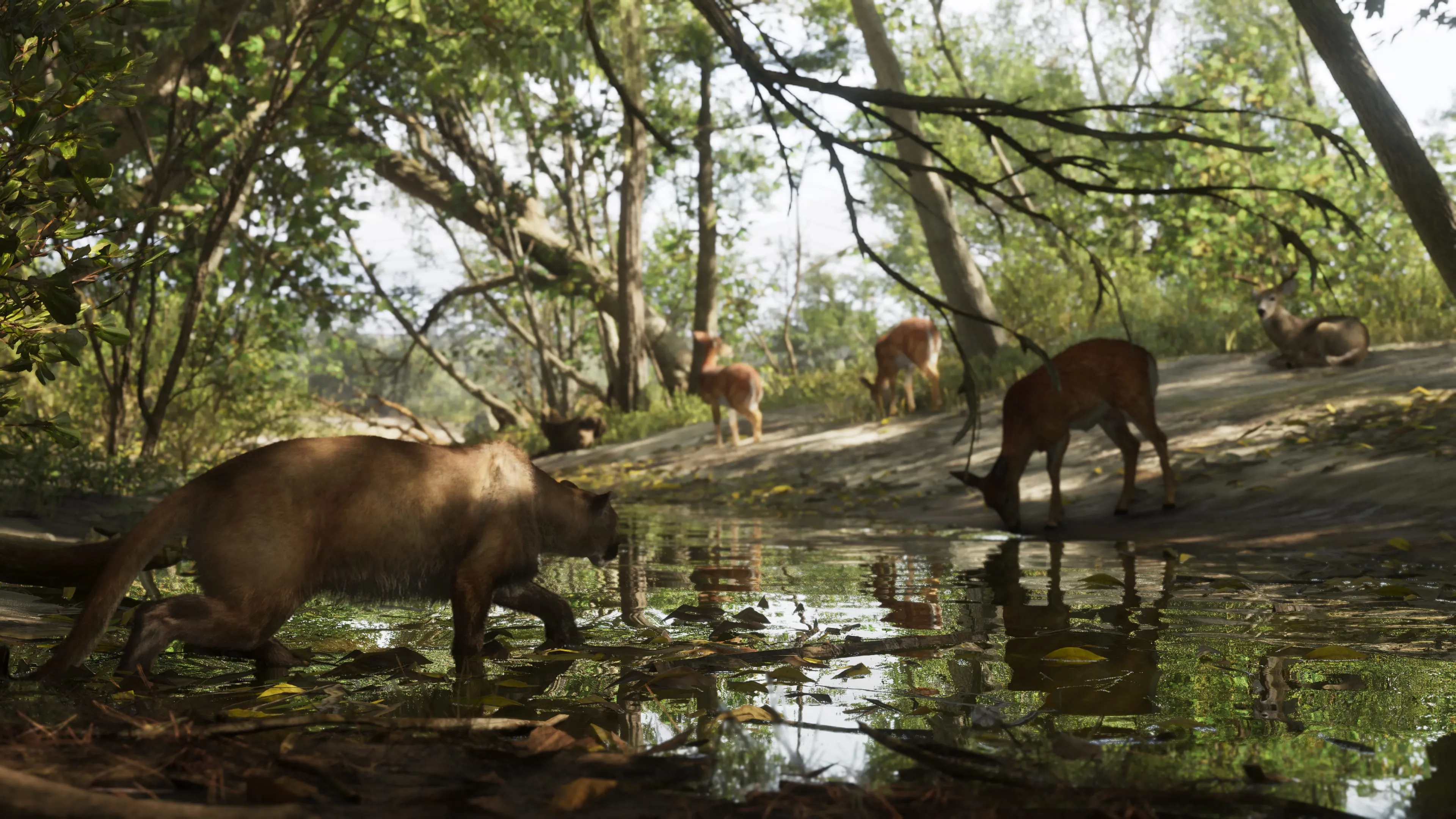 Wildlife in Mount Kalaga National Park